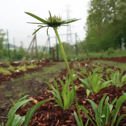 Ferme florale Ferme florale